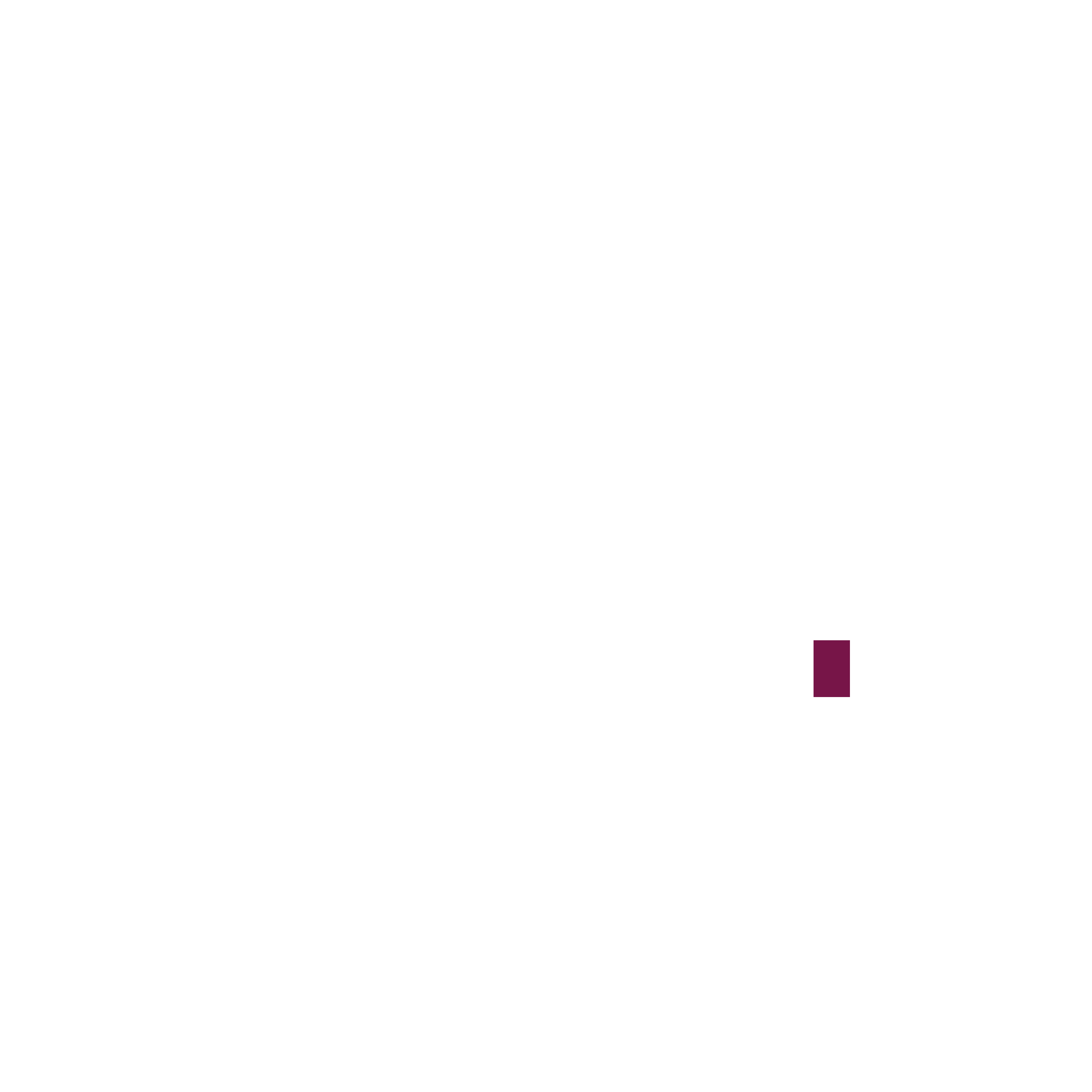 dygyt logo